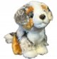 Pies australijski 19cm 34052