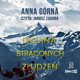 Piotr Sauer T.2 Dolina straconych zludzen CD EDUKAMP