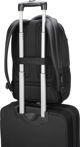 Targus CityGear Σακίδιο Πλάτης Laptop 15.6" - 16", Μαύρο, Με Αδιάβροχο Κάλυμμα (TCG662GL)
