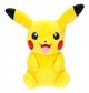 Pokémon Plush 20 cm Kanto - Assorted