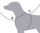Premium trekking, szelki, dla psa, curry/grafit, S–M: 44–53 cm/20 mm