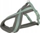 Premium Touring ιμάντες για σκύλους βιολέ πράσινο, M–L: 50–90 cm/25 mm