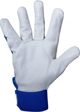 Profix Rekawice ze skory koziej niebieskie P270208P "8" CE PSB