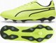 Παπούτσια Puma Puma KING Match FG/AG 107570-04