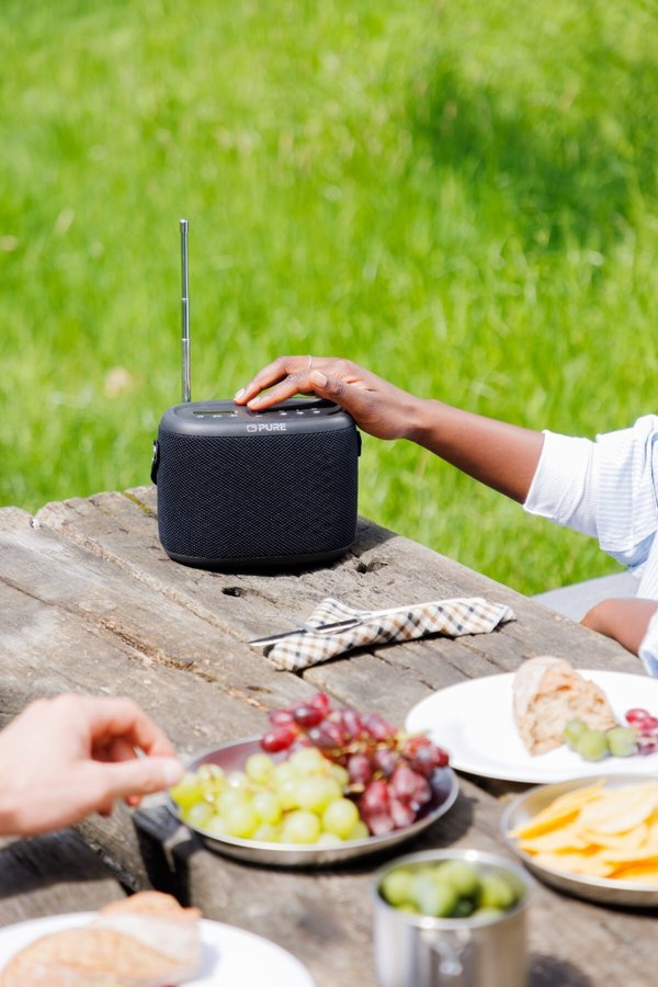 Pure Woodland, Portable, DAB+, FM, 87.5 - 108 MHz, 174 - 240 MHz, 10 W, Full range