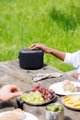 Pure Woodland, Portable, DAB+, FM, 87.5 - 108 MHz, 174 - 240 MHz, 10 W, Full range