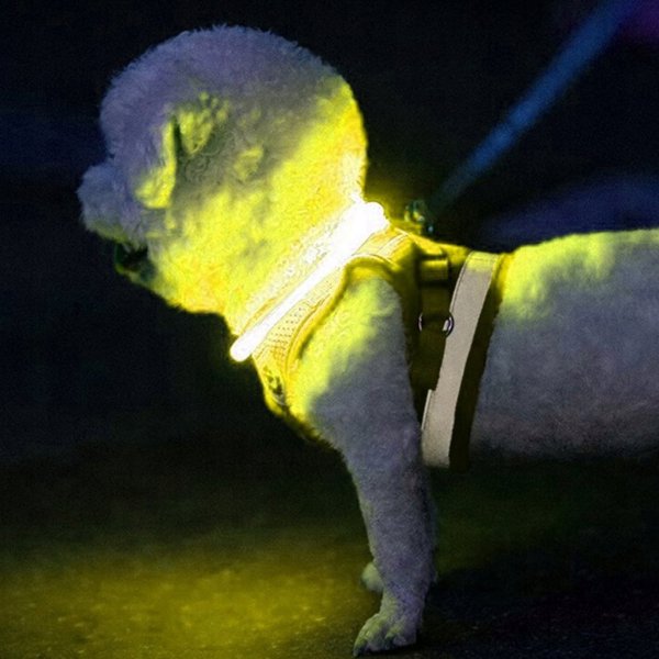 Purlov Ρυθμιζόμενο φωτιζόμενο περιλαίμιο LED Purlov 24200