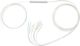 Qoltec Splitter optyczny 1x8, 0.9mm, G.657A, SingleMode, 1,5m (54204)