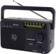 Radio FM TRACER GTX100