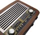 Φορητό ραδιόφωνο LTC OLZA RETRO με φωτισμό, Bluetooth, USB