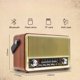 Φορητό Ραδιόφωνο RABA Retro LX510BTB Bluetooth με FM, USB, SD, AUX και Τηλεχειριστήριο - Καφέ