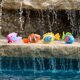 Swim Ways Rainbow Reef Ψαράκι - Παιχνίδι Πισίνας Rainbow Fish