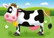 Ravensburger Ravensburger 7302 Το πρώτο μου παζλ στη φάρμα - 2, 3, 4 και 5 κομμάτια