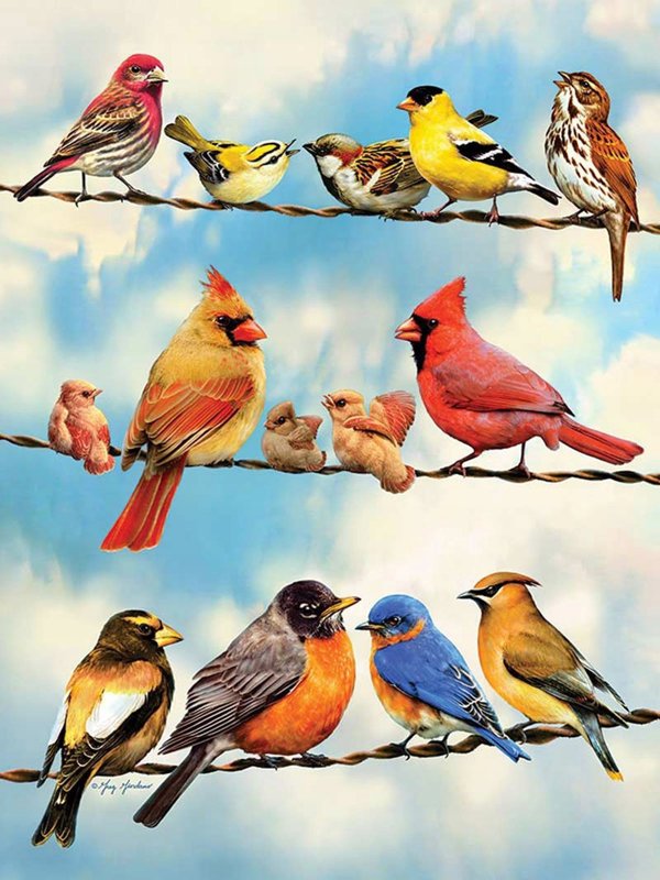 Ravensburger Παζλ 500 Ptasia narada G3