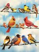 Ravensburger Παζλ 500 Ptasia narada G3