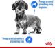 Royal Canin Mini Light Weight Care