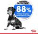 Royal Canin Mini Light Weight Care