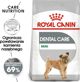 Royal Canin Royal Canin Mini Dental Care karma sucha dla psow doroslych ras malych do 10 kg higiena zebow 1kg