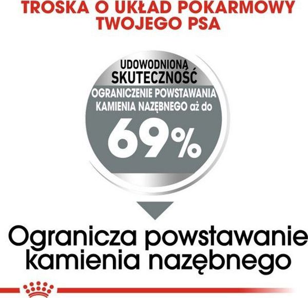 Royal Canin Royal Canin Mini Dental Care karma sucha dla psow doroslych ras malych do 10 kg higiena zebow 1kg