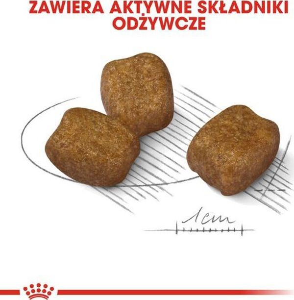 Royal Canin Royal Canin Mini Dental Care karma sucha dla psow doroslych ras malych do 10 kg higiena zebow 1kg