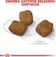 Royal Canin Royal Canin Mini Dental Care karma sucha dla psow doroslych ras malych do 10 kg higiena zebow 1kg