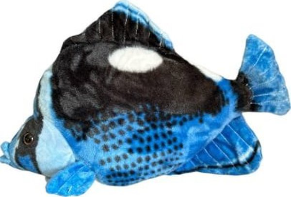 Ρύβα Hepatus μπλε 41cm