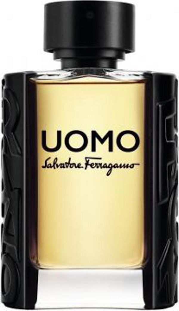 Salvatore Ferragamo Uomo EDT 100ml