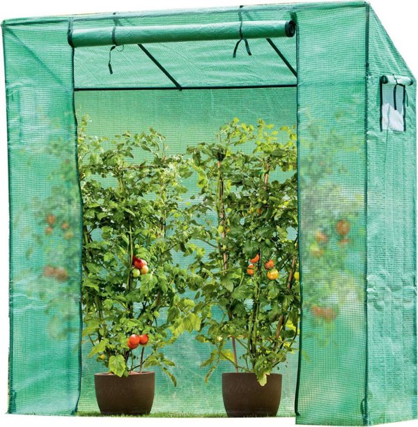 Θερμοκήπιο για ντομάτες και αγγούρια Saska Garden 200x77x168-150CM PE πράσινο