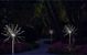 Saska Garden Ηλιακός Λαμπτήρας Κήπου Πικραλίδα 90 LED, Ανοξείδωτο Ατσάλι, Αδιάβροχο Φωτιστικό με Αισθητήρα Φωτός