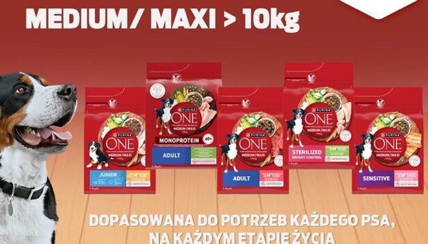 Schleich Παγωμένο Τρωκτικό