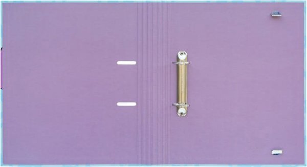Segregator Verhaak Disney Stitch Tropical - Segregator A4 (2 ringi, gumka)