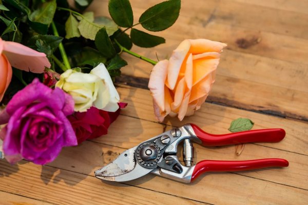 Felco 14 Ψαλίδι Κλαδέματος Υψηλής Ακρίβειας για Μικρά Χέρια, Συμπαγές και Ανθεκτικό