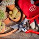 Felco 14 Ψαλίδι Κλαδέματος Υψηλής Ακρίβειας για Μικρά Χέρια, Συμπαγές και Ανθεκτικό