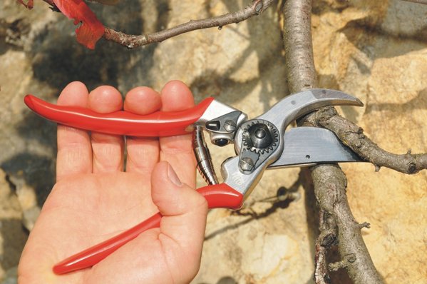 Felco 2 Κλασικό Ψαλίδι Κλαδέματος - Επαγγελματικό Κλαδευτήρι Δεξιόχειρων