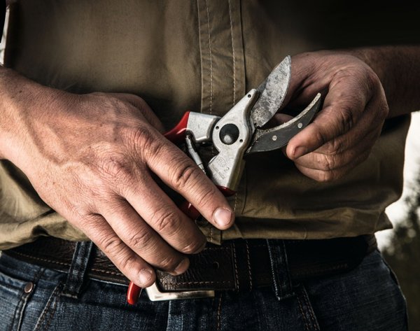 Felco 2 Κλασικό Ψαλίδι Κλαδέματος - Επαγγελματικό Κλαδευτήρι Δεξιόχειρων