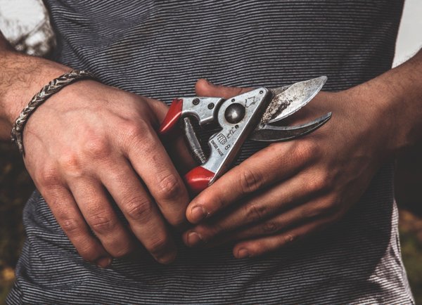 Felco 8 Κλαδευτήρι Χειρός Εργονομικό για Δεξιόχειρες, Επαγγελματικό Ψαλίδι Κλαδέματος για Μεγάλα Χέρια