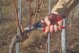Felco 8 Κλαδευτήρι Χειρός Εργονομικό για Δεξιόχειρες, Επαγγελματικό Ψαλίδι Κλαδέματος για Μεγάλα Χέρια