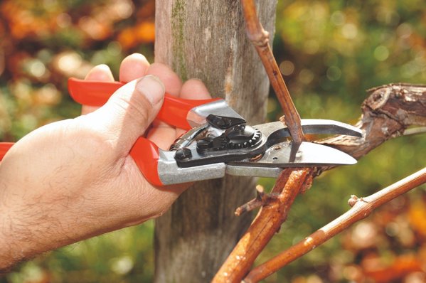 Felco 8 Κλαδευτήρι Χειρός Εργονομικό για Δεξιόχειρες, Επαγγελματικό Ψαλίδι Κλαδέματος για Μεγάλα Χέρια