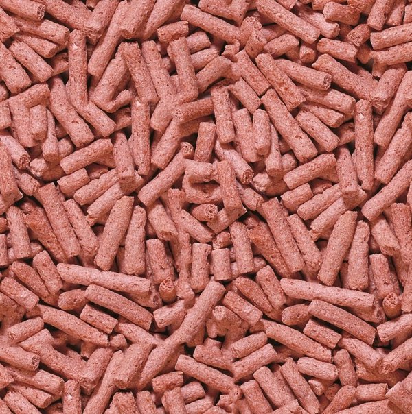 Sera Pond Color Sticks - Τροφή για Ψάρια Λίμνης, Ενισχυτικό Χρώματος, 3.800ml