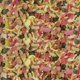 Sera Pond Mix Royal Τροφή για Ψάρια Λίμνης, 10 l - Πολυβιταμινούχο Μείγμα σε Κάδο
