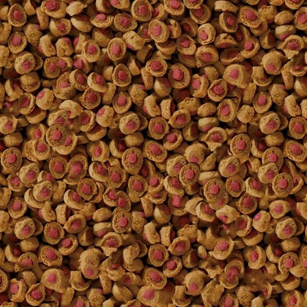 Sera Koi Professional Spring/Autumn Food Τροφή για Ψάρια Koi, 1kg
