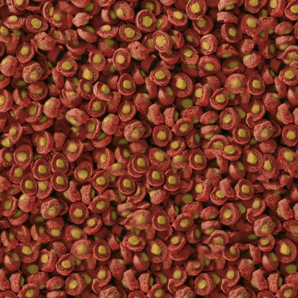 Sera Koi Professional Spring/Autumn Food Τροφή για Ψάρια Koi, 1kg