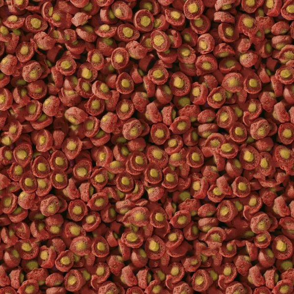 Sera Koi Professional Spring/Autumn Food Τροφή για Ψάρια Koi, 1kg