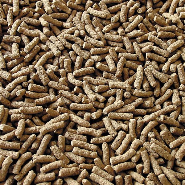 Sera Pond Granulat Τροφή για Ψάρια Λίμνης 3.800ml - Ξηρά Ιχθυοτροφή σε Πέλλετ