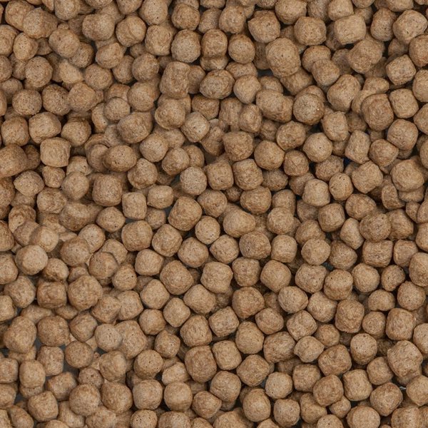 Sera Koi Royal Large Τροφή για Ψάρια Koi, Κόκκοι, 21l (8039706)