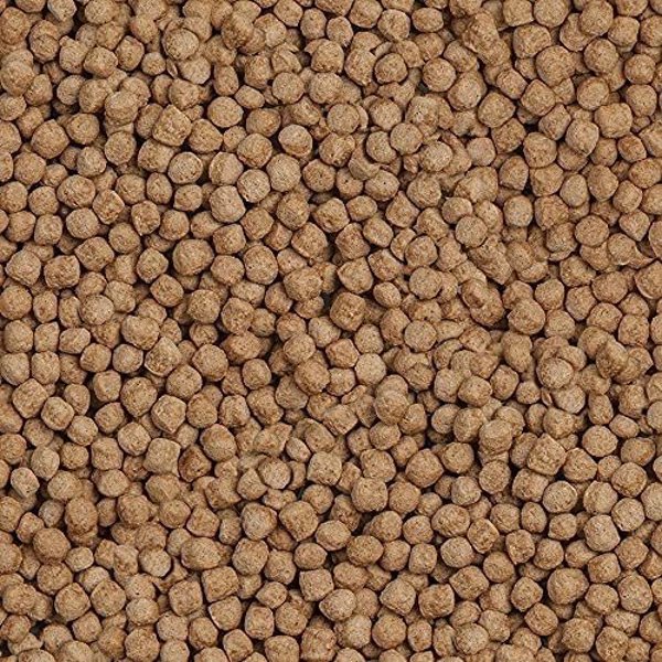 Sera Koi Royal Large Τροφή για Ψάρια Koi, Κόκκοι, 21l (8039706)