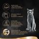 Sheba Sheba Delicacy Rybne Smaki w galaretce 80x85g