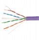 Skretka PFM923I-6UN-CD-PURPLE 305m UTP Kat. 6 Dahua