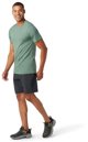 Smartwool M'S Merino Short Sleeve Tee, 364, L