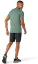 Smartwool M'S Merino Short Sleeve Tee, 364, L